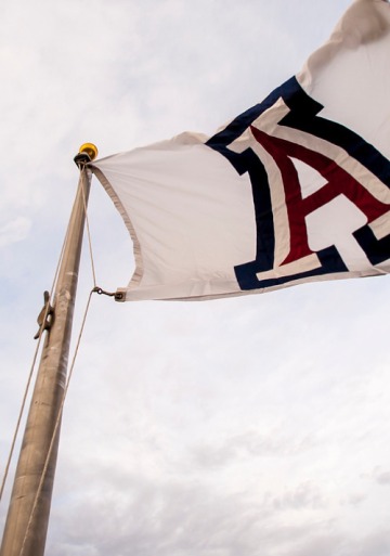Large University of Arizona banner attached to a flagpole winding in the air